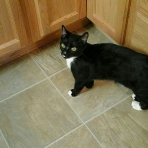 Meet your Posher, Lilly